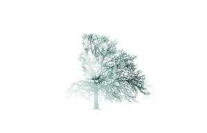 Newsletter w duchu ESG