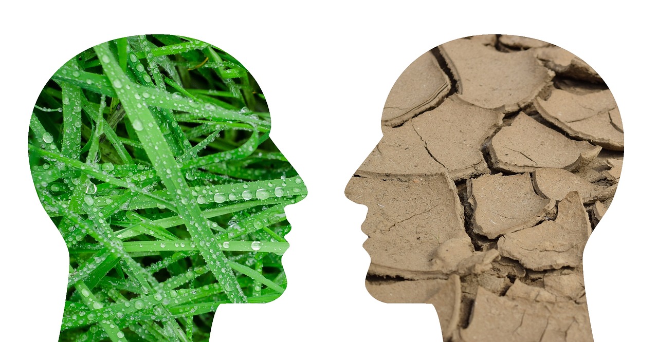 ESG – wiatr zmian w inwestowaniu