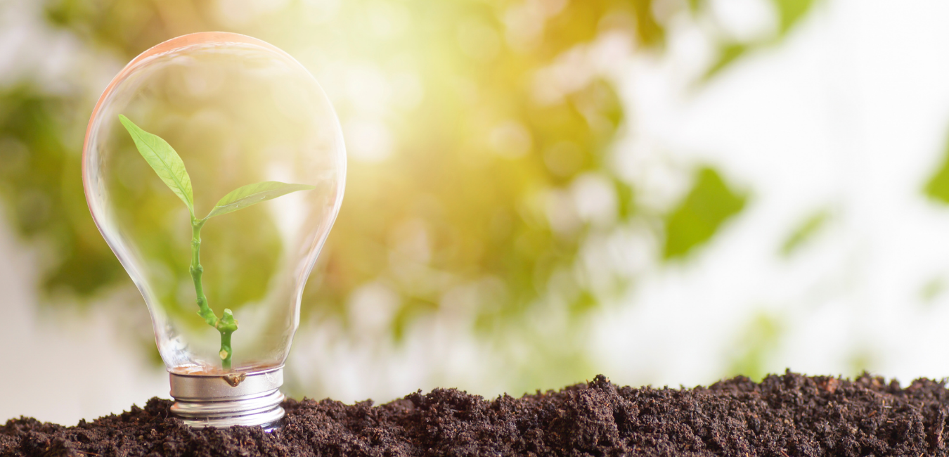 Czym jest ESG i jak wpływa na stopy zwrotu z inwestycji?