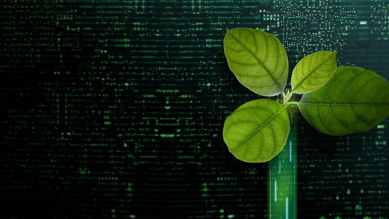 Parę uwag nt. ESG, czyli trzy litery, które nie ocalą planety